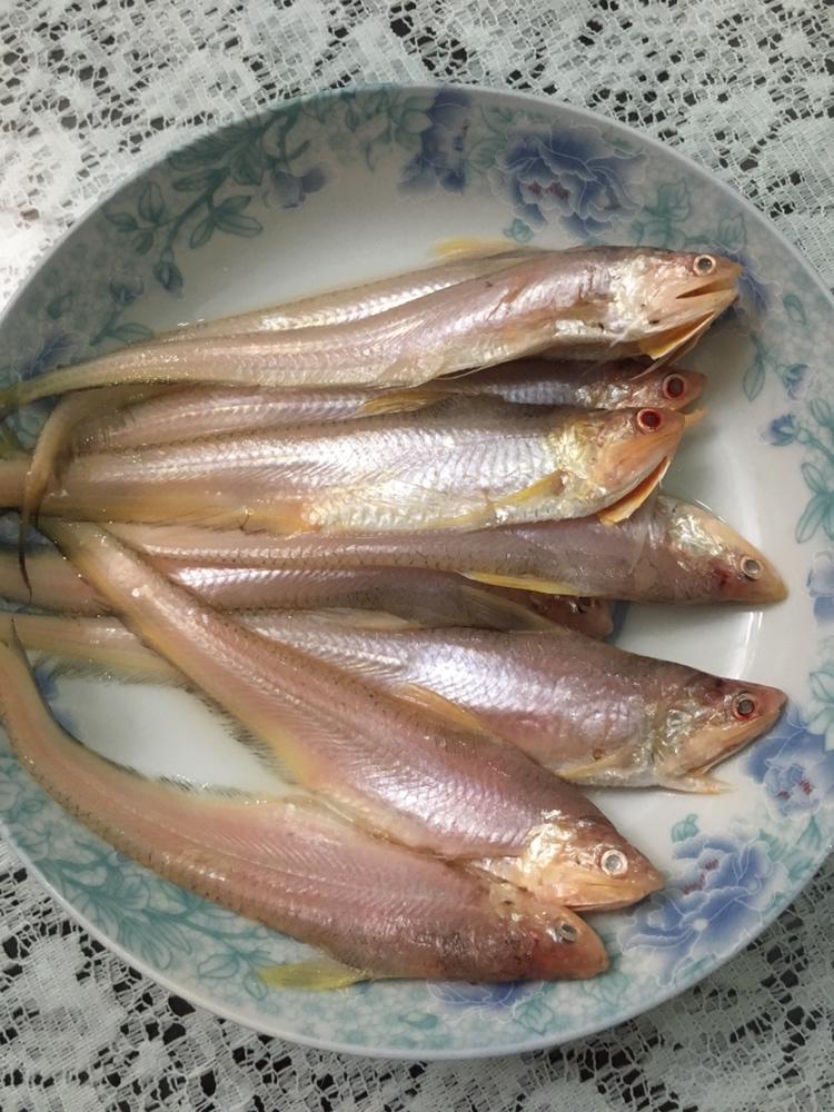 香煎鲚鱼