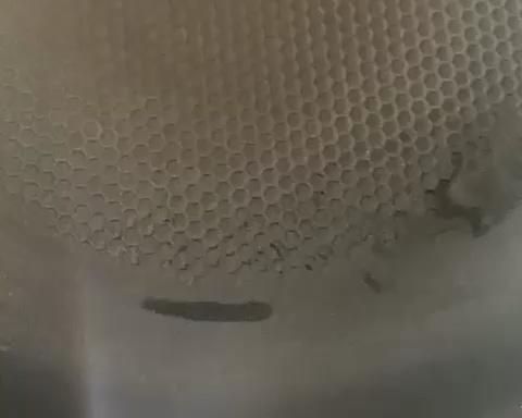 香葱火腿鸡蛋饼