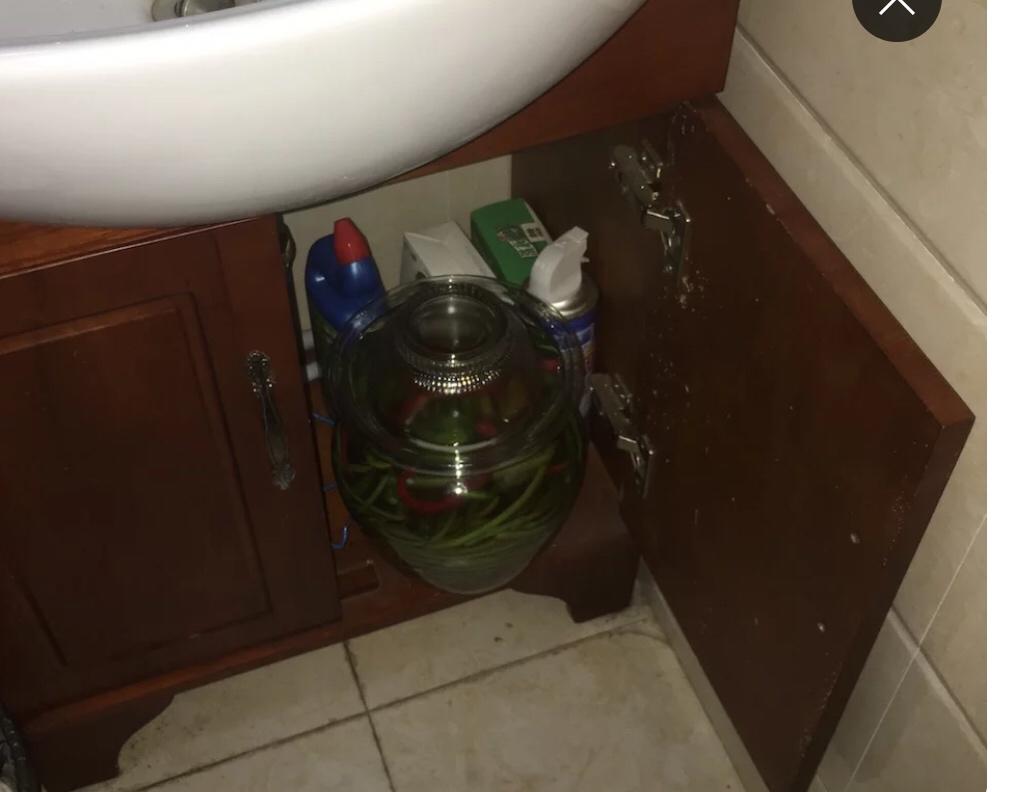 泡菜的做法 步骤20
