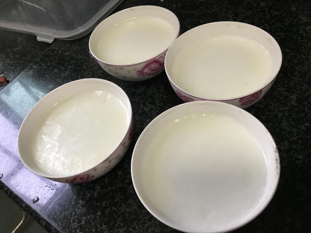 顺德大良双皮奶