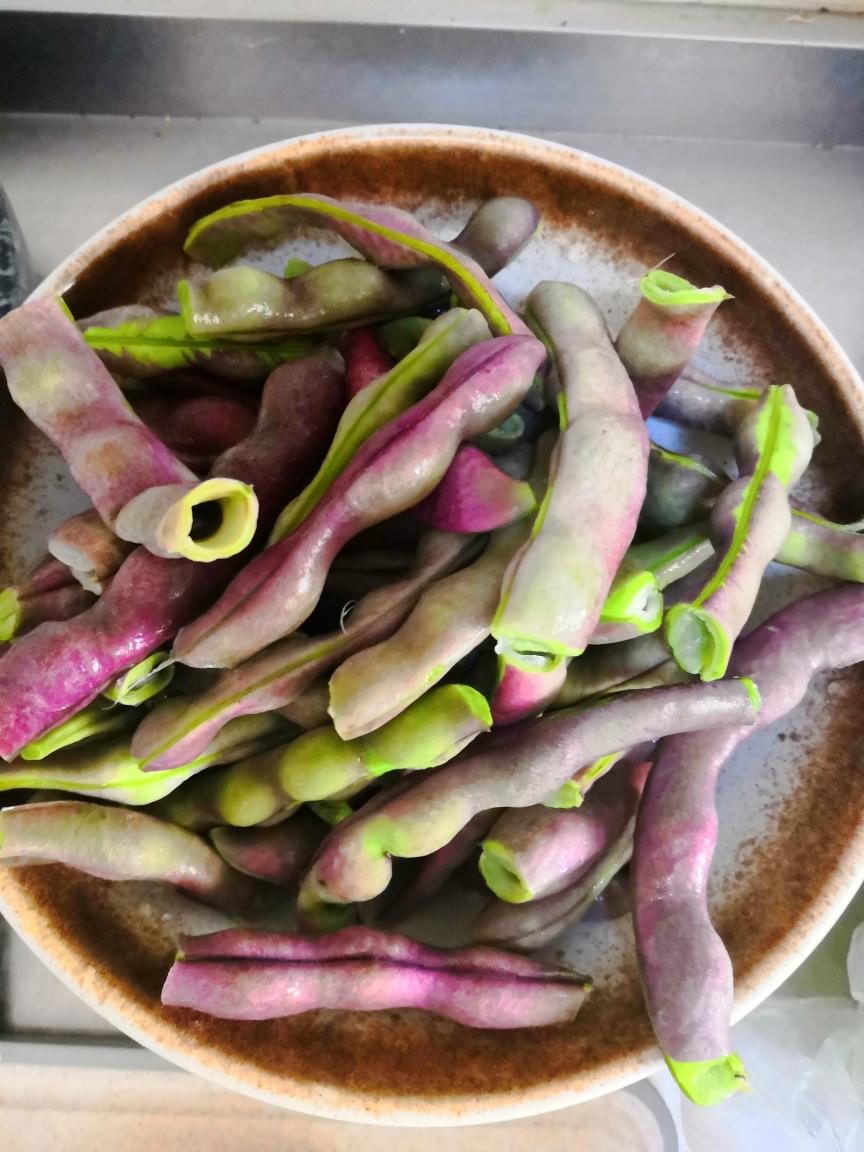 东北土豆炖豆角