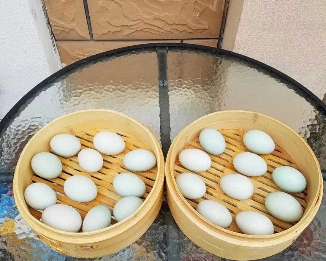 自制咸鸭蛋(详细配方)