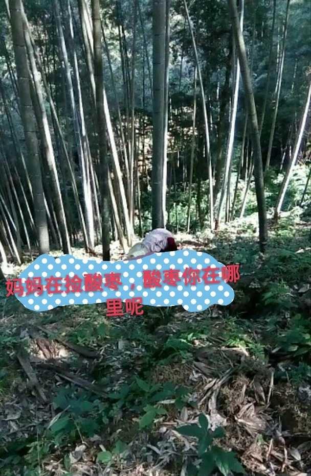 好吃爆的野生酸枣糕,无添加剂,酸酸甜甜,口感Q弹的做法 步骤2