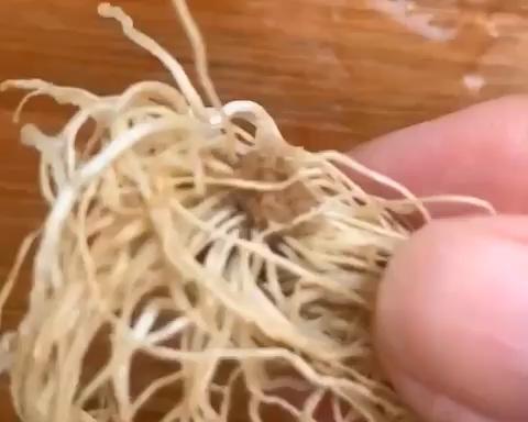 家常砂锅