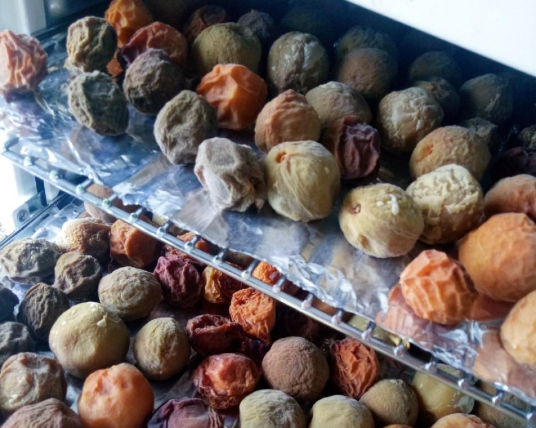 乌梅是一颗正经青梅的华丽变身,让您在家也能做乌梅。