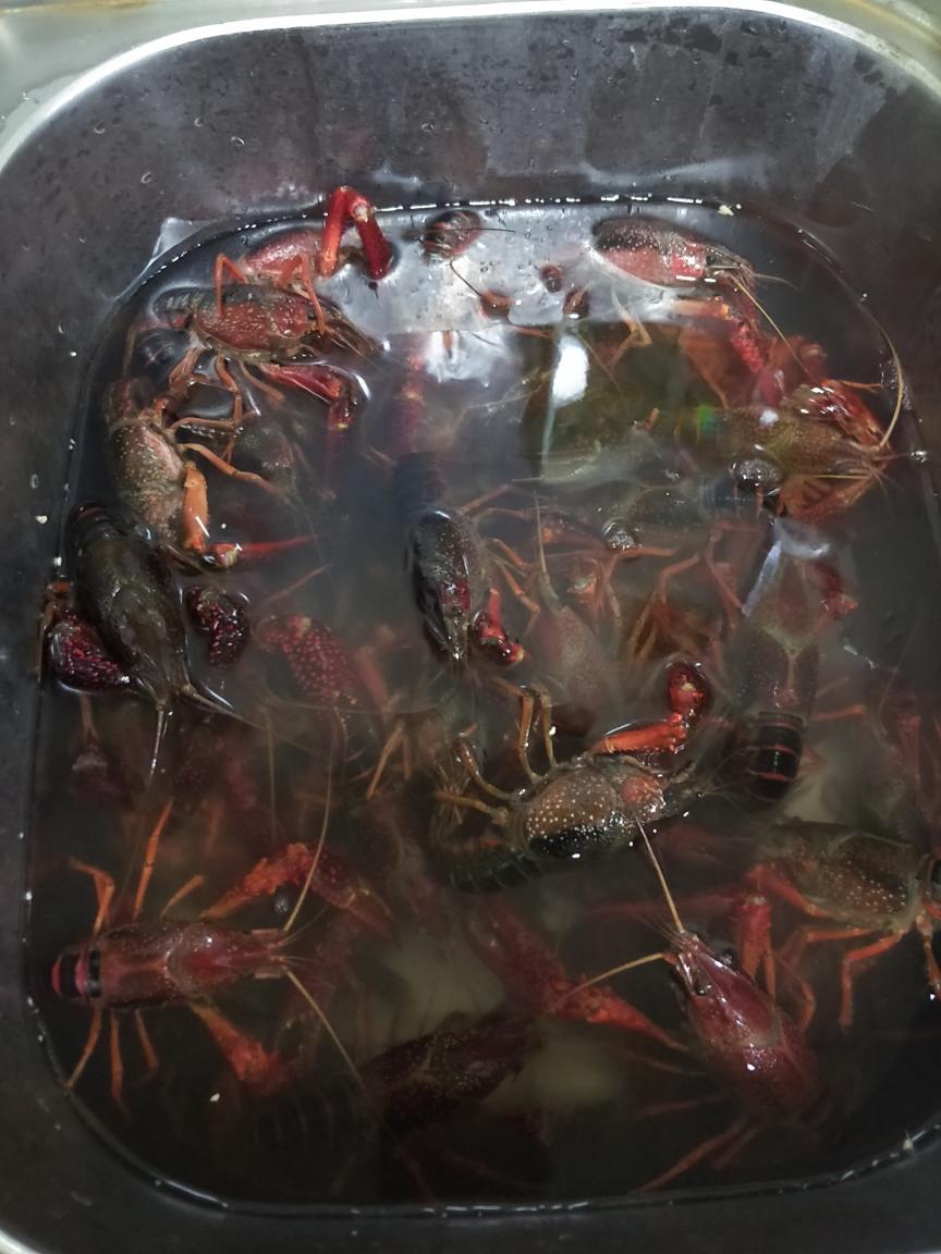 香辣小龙虾