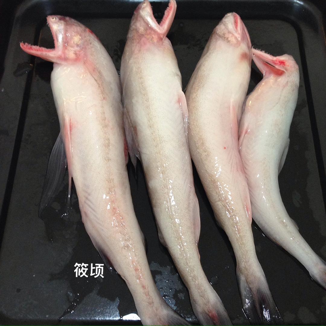 海魚_海魚_美食_大連本地網